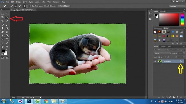 Hướng dẫn copy layer trong Photoshop